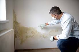 Best Mold Documentation for Insurance Claims in USA